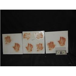 INSIDIOUS 2 POSSESSED HANDS APPLIANCE LOT OF 8