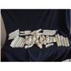Image 1 : HUGE LOT OF EXPOSED BONES AND RIBS. NEARLY 40 PIECES!