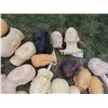 Image 5 : SEVERED HEADS AND LIFE CASTS HUGE HORDE OF 27 FOR HAUNT OR HALLOWEEN