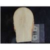 Image 2 : JOE PISCAPO LIFE CAST 2