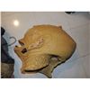 Image 4 : LAND OF THE LOST SCREEN USED ENIK SUIT