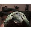 Image 8 : LAND OF THE LOST SCREEN USED HERO SLEESTAK SUIT W MASK ALL MATCHING #14 FIRST EVER OFFERED TO PUBLIC