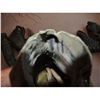 Image 9 : LAND OF THE LOST SCREEN USED HERO SLEESTAK SUIT W MASK ALL MATCHING #14 FIRST EVER OFFERED TO PUBLIC
