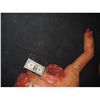 Image 2 : SEVERED UPPER TORSO WITH HEAD ARM & HAND TORN OFF SHOWING GORE