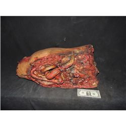 SEVERED LOWER TORSO WITH EXPOSED ENTRAILS & GORE