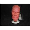 Image 1 : THE GREEN LANTERN HECTOR HAMMOND MASK APPLIANCE