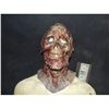 Image 1 : VHS 3 ROTTEN ZOMBIE SKULL FULL HEAD LATEX MASK STAGE 3 FILM NOT YET RELEASED!