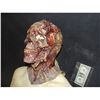 Image 2 : VHS 3 ROTTEN ZOMBIE SKULL FULL HEAD LATEX MASK STAGE 3 FILM NOT YET RELEASED!