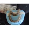 Image 2 : PIRATES OF THE CARIBBEAN BOOTSTRAP BILL SCREEN USED HERO TEETH 2 SETS