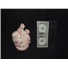 Image 1 : PIRATES OF THE CARIBBEAN DEAD MANS CHEST DAVEY JONES HEART SILICONE CASTING