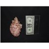 Image 1 : PIRATES OF THE CARIBBEAN DEAD MANS CHEST DAVEY JONES SCREEN USED HEART SOLID SILICONE