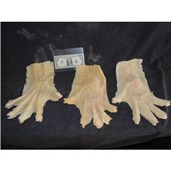 DAY OF THE DEAD CONTAGIUM UNUSED ZOMBIE LATEX HAND APPLIANCES