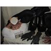 Image 2 : FANTASTIC 4 RISE OF THE SILVER SURFER DR DOOM NEAR COMPLETE COSTUME