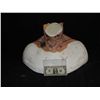 Image 1 : FANTASTIC 4 DR DOOM BATTLE DAMAGED NECK APPLIANCE ON LIFE BUST