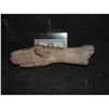 Image 1 : SEVERED HAND WITH CUT OFF THUMB NO RESERVE!