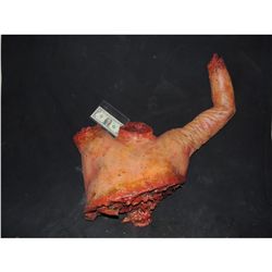 SEVERED UPPER TORSO WITH HEAD ARM & HAND TORN OFF SHOWING GORE