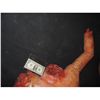Image 2 : SEVERED UPPER TORSO WITH HEAD ARM & HAND TORN OFF SHOWING GORE