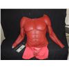 Image 1 : HELLBOY SCREEN USED HERO CHEST WITH ARMS VERY LAST ONE!