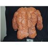 Image 2 : FANTASTIC 4 RISE OF THE SILVER SURFER SCREEN USED HERO THING CHEST WITH ARMS 2