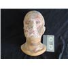 Image 1 : SEVERED HEAD LIFE CAST CASTING NO RESERVE! 1