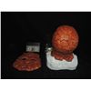 Image 2 : FANTASTIC 4 THING SCREEN USED HERO FULL HEAD WITH FACE ON MICHAEL CHIKLIS LIFE CAST 1