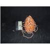 Image 1 : ALEN NATION SCREEN USED EGG POD