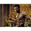 Image 10 : X-Men Days Of Future Past Hero Screen-Used Wolverine (Hugh Jackman) Claws