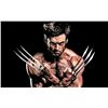 Image 9 : X-Men Days Of Future Past Hero Screen-Used Wolverine (Hugh Jackman) Claws