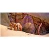 Image 6 : Star Wars Return Of The Jedi Sarlacc Tentacle