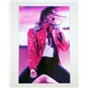 Image 1 : Michael Jackson Signed Concert Photo