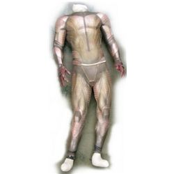 Watchmen Nite Owl Full Body Suit