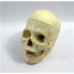 Terminator 2 Human Skull Prop