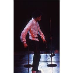 Michael Jackson Concert Photo & Copyright From Victory Tour