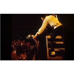 Michael Jackson Concert Photo & Copyright From Victory Tour Circa 1983