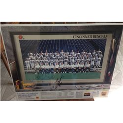 Cincinnati Bengals Team Picture Poster Signed by Ickey Woods and James Brooks