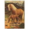 Image 2 : 1951 Roy Rogers Trigger Four Color 329 -#1