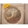 2010 American Silver Eagle Graded by NGC - MS 69