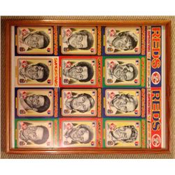 1976 Linnet Reds Team Set