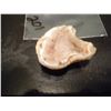 Image 1 : 36.70 carat cut and polished hollow Geode