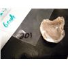 Image 2 : 36.70 carat cut and polished hollow Geode
