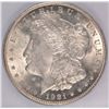 Image 2 : 1921 MORGAN DOLLAR ICG MS-64