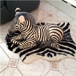 Zebra Statue