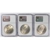 Image 2 : (3) 1923 PEACE DOLLAR NGC MS-63-65 (BINION COLLECTION) PRESTIGE SET #794 OF 978