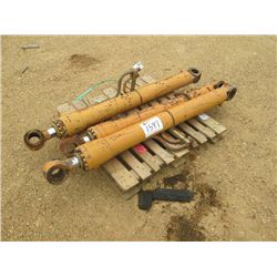 1 LOT (3) HYDRAULIC CYLINDERS