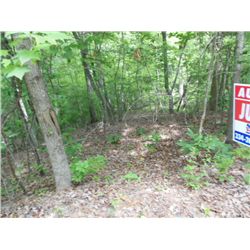 LOT # 4 NORTH CREEK FOREST PHASE II - WETUMPKA AL