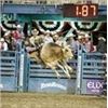 Image 2 : BOX SEATS FOR 10 AT THE RENO RODEO