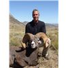Image 5 : WILDLIFE HERITAGE TAG – CALIFORNIA BIGHORN SHEEP