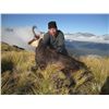 Image 3 : Alpine Tahr Hunt New Zealand Hunting Safaris