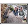 Image 5 : Alpine Tahr Hunt New Zealand Hunting Safaris