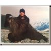 Image 6 : Alpine Tahr Hunt New Zealand Hunting Safaris